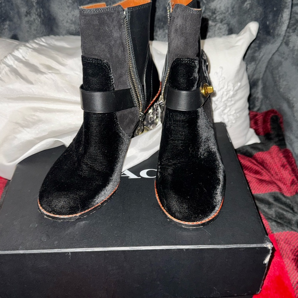 Coach black tea rose moto booties
